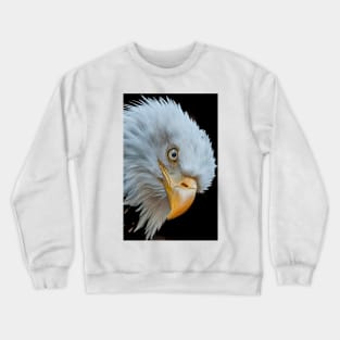 The Eye of The Eagle Crewneck Sweatshirt